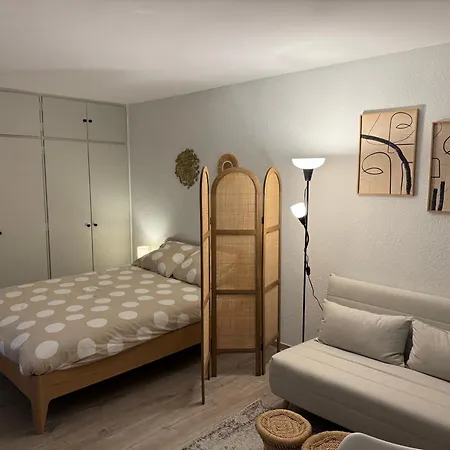 Voltaire Avec Parking Commun Gratuit Dans La Copropriete 费内-伏尔泰