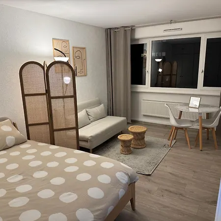 Apartment Voltaire Avec Parking Commun Gratuit Dans La Copropriete Ferney-Voltaire